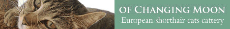 Of Changing Moon - European shorthair cattery