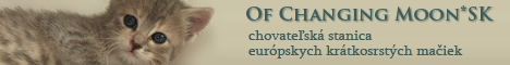 Of Changing Moon - European shorthair cattery