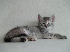 Beatrice Morning Star, 6 weeks