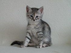 Beatrice Morning Star, 6 weeks