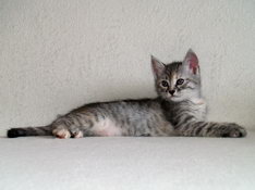 Beatrice Morning Star, 7 weeks