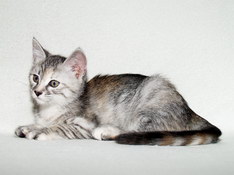 Beatrice Morning Star, 9 weeks