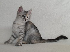 Beatrice Morning Star, 10 weeks