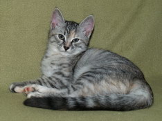 Beatrice Morning Star, 11 weeks