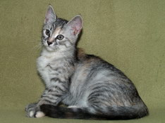 Beatrice Morning Star, 11 weeks