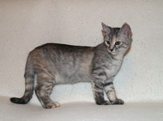 Beatrice Morning Star, 12 weeks