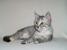 Beatrice Morning Star, 13 weeks